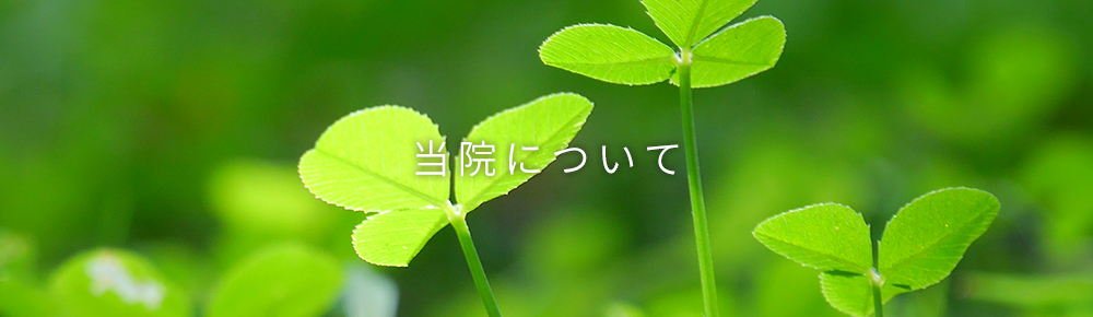 当院について