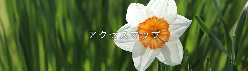 アクセスマップ