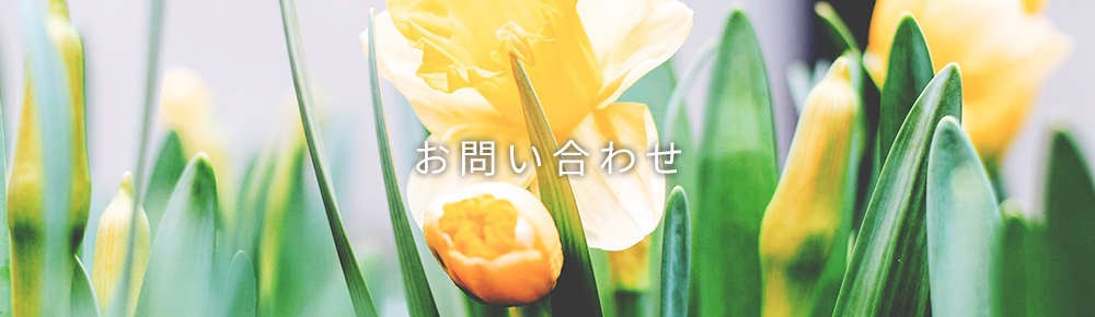 お問い合わせ