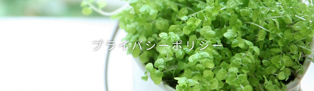 プライバシーポリシー